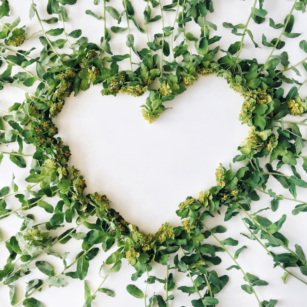 Leafy stemmed yellow flowers arranged into the shape of a heart, petals facing inwards.